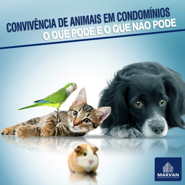 postagem-midias-sociais-3